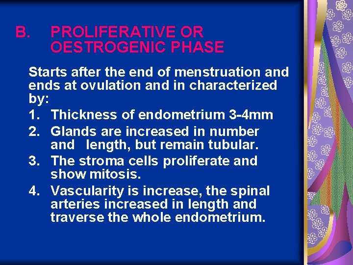 B. PROLIFERATIVE OR OESTROGENIC PHASE Starts after the end of menstruation and ends at