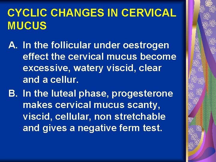 CYCLIC CHANGES IN CERVICAL MUCUS A. In the follicular under oestrogen effect the cervical