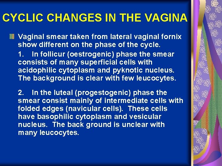 CYCLIC CHANGES IN THE VAGINA Vaginal smear taken from lateral vaginal fornix show different