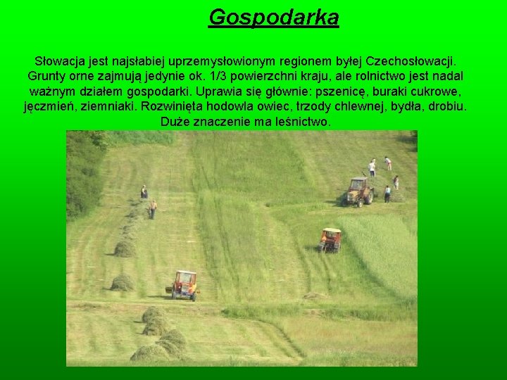 Gospodarka Słowacja jest najsłabiej uprzemysłowionym regionem byłej Czechosłowacji. Grunty orne zajmują jedynie ok. 1/3