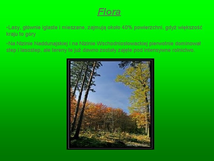 Flora • Lasy, głównie iglaste i mieszane, zajmują około 40% powierzchni, gdyż większość kraju