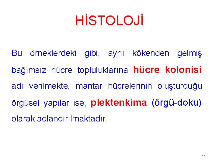 HİSTOLOJİ Bu örneklerdeki gibi, aynı kökenden gelmiş bağımsız hücre topluluklarına hücre kolonisi adı verilmekte,