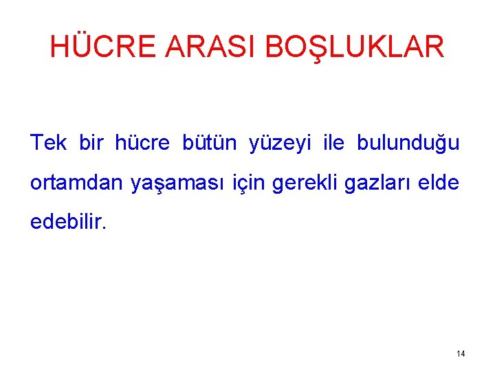 HÜCRE ARASI BOŞLUKLAR Tek bir hücre bütün yüzeyi ile bulunduğu ortamdan yaşaması için gerekli