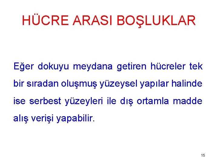 HÜCRE ARASI BOŞLUKLAR Eğer dokuyu meydana getiren hücreler tek bir sıradan oluşmuş yüzeysel yapılar