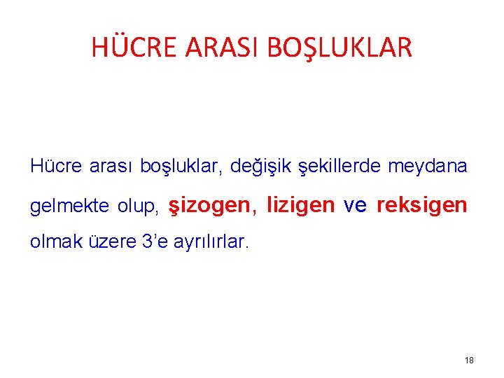 HÜCRE ARASI BOŞLUKLAR Hücre arası boşluklar, değişik şekillerde meydana gelmekte olup, şizogen, lizigen ve