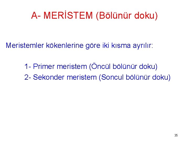 A- MERİSTEM (Bölünür doku) Meristemler kökenlerine göre iki kısma ayrılır: 1 - Primer meristem