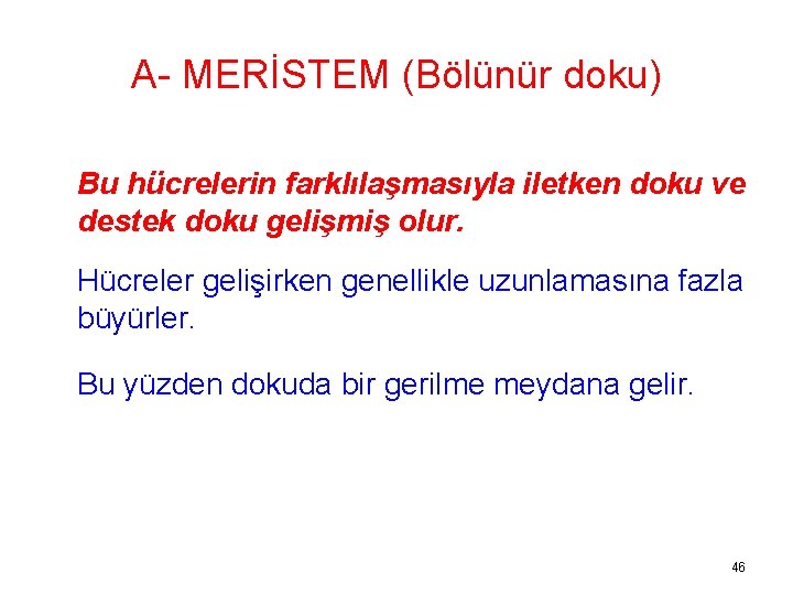 A- MERİSTEM (Bölünür doku) Bu hücrelerin farklılaşmasıyla iletken doku ve destek doku gelişmiş olur.