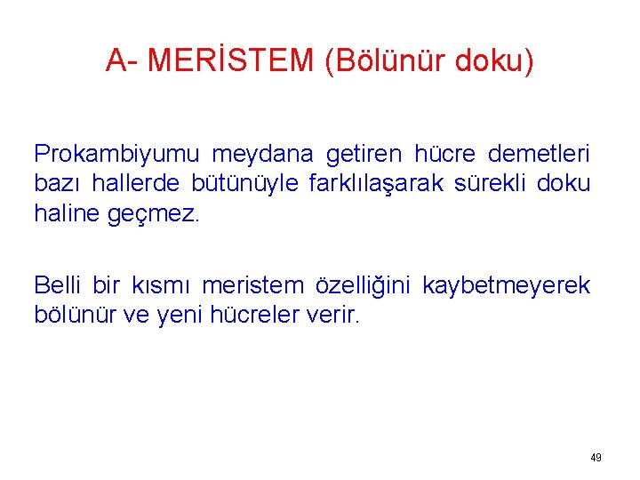 A- MERİSTEM (Bölünür doku) Prokambiyumu meydana getiren hücre demetleri bazı hallerde bütünüyle farklılaşarak sürekli