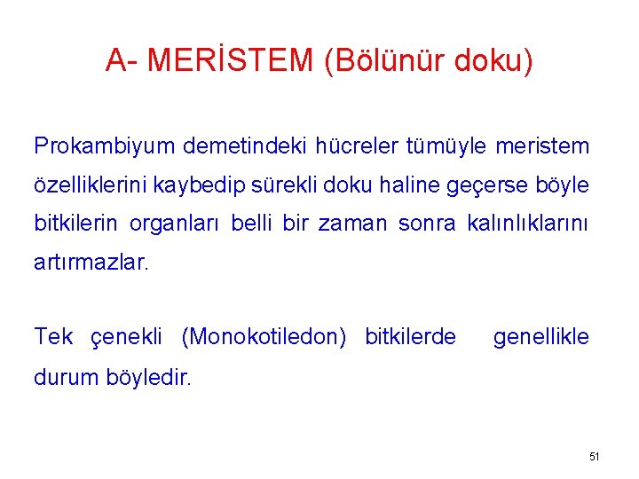 A- MERİSTEM (Bölünür doku) Prokambiyum demetindeki hücreler tümüyle meristem özelliklerini kaybedip sürekli doku haline