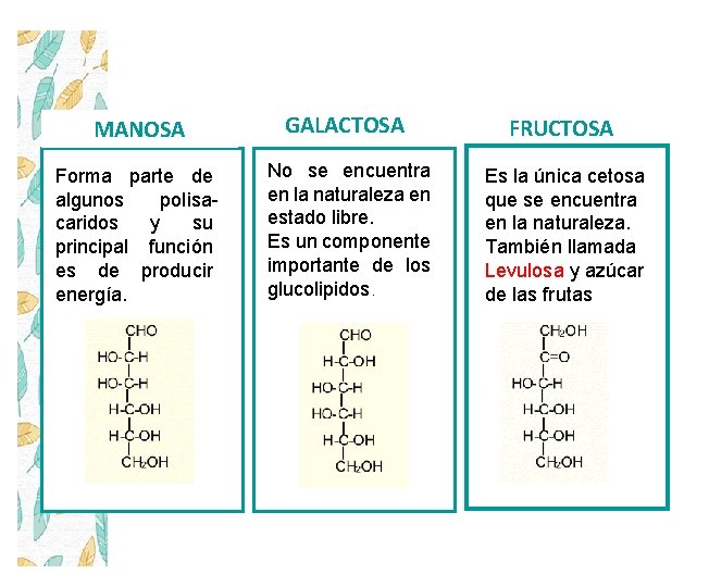 MANOSA GALACTOSA FRUCTOSA Forma parte de algunos polisacaridos y su principal función es de