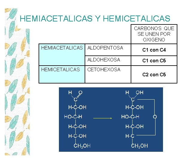 HEMIACETALICAS Y HEMICETALICAS CARBONOS QUE SE UNEN POR OXIGENO HEMIACETALICAS ALDOPENTOSA ALDOHEXOSA HEMICETALICAS CETOHEXOSA