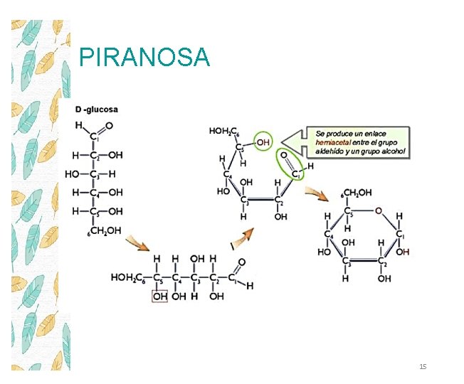 PIRANOSA 15 