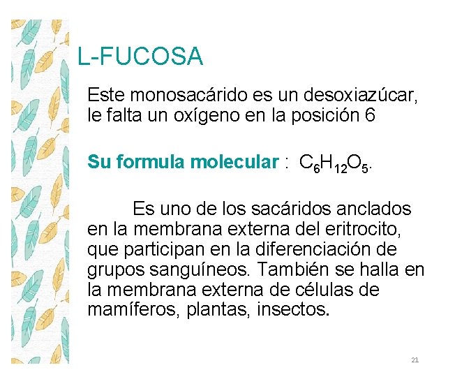 L-FUCOSA Este monosacárido es un desoxiazúcar, le falta un oxígeno en la posición 6