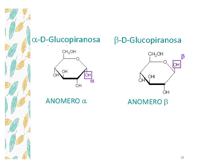 a-D-Glucopiranosa b-D-Glucopiranosa ANOMERO b 38 