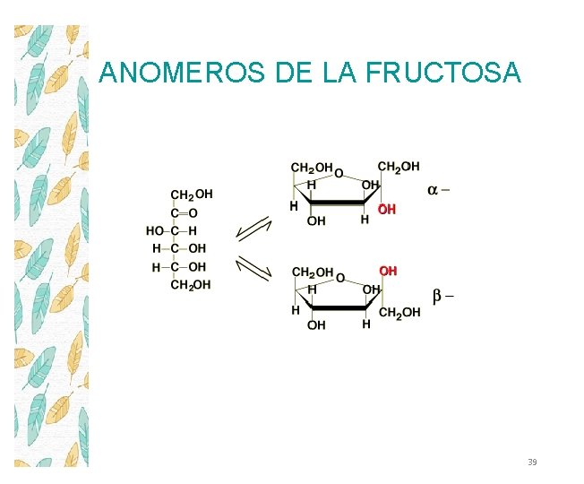 ANOMEROS DE LA FRUCTOSA 39 