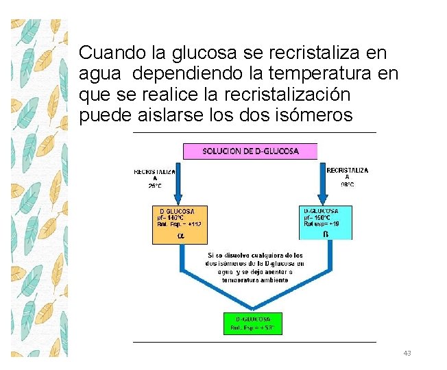 Cuando la glucosa se recristaliza en agua dependiendo la temperatura en que se realice