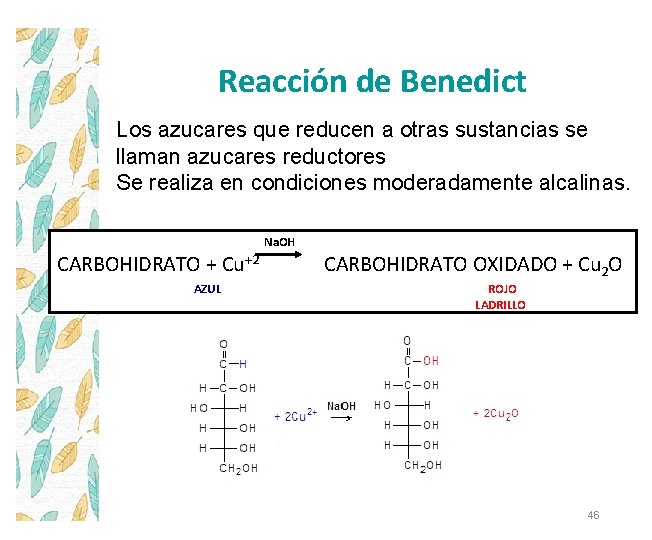 Reacción de Benedict Los azucares que reducen a otras sustancias se llaman azucares reductores