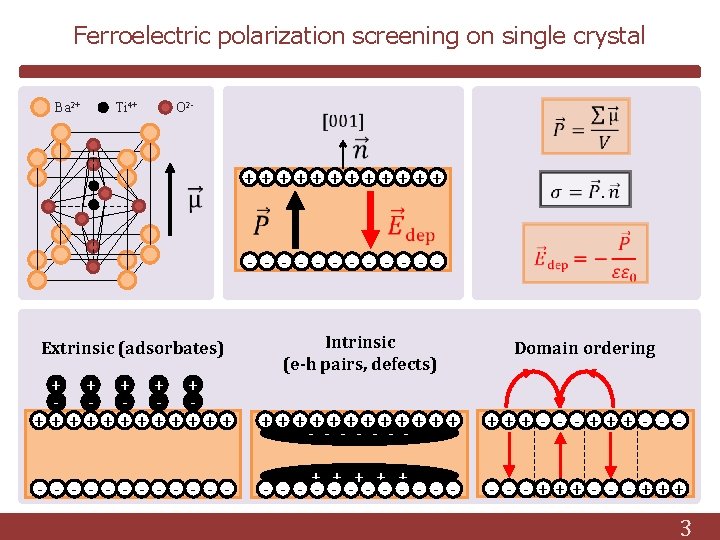 Ferroelectric polarization screening on single crystal Ba 2+ Ti 4+ O 2 - ++