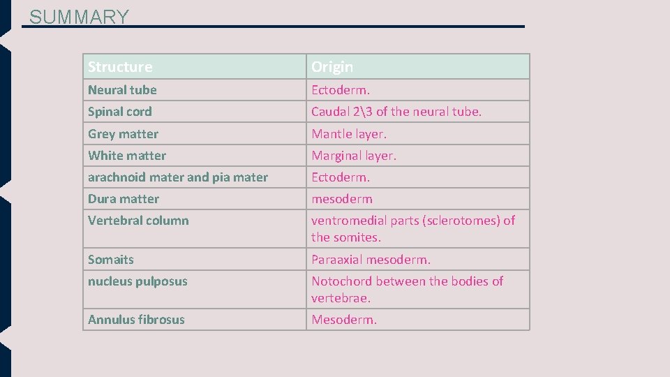 SUMMARY Structure Origin Neural tube Ectoderm. Spinal cord Caudal 23 of the neural tube.