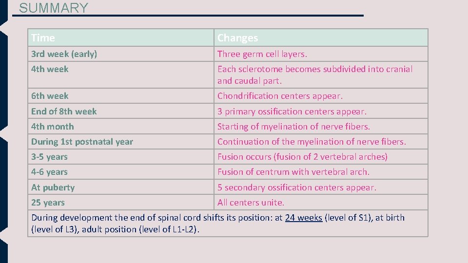 SUMMARY Time Changes 3 rd week (early) Three germ cell layers. 4 th week SUMMARY Time Changes 3 rd week (early) Three germ cell layers. 4 th week
