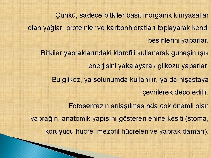 Çünkü, sadece bitkiler basit inorganik kimyasallar olan yağlar, proteinler ve karbonhidratları toplayarak kendi besinlerini