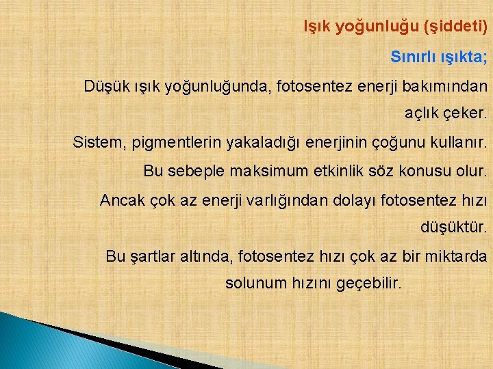 Işık yoğunluğu (şiddeti) Sınırlı ışıkta; Düşük ışık yoğunluğunda, fotosentez enerji bakımından açlık çeker. Sistem,