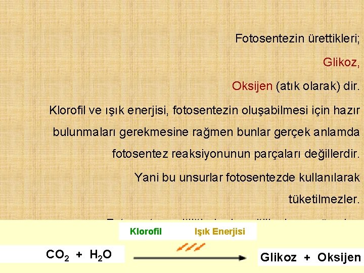 Fotosentezin ürettikleri; Glikoz, Oksijen (atık olarak) dir. Klorofil ve ışık enerjisi, fotosentezin oluşabilmesi için