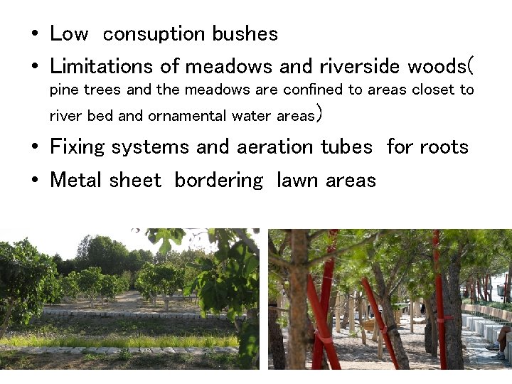  • Low consuption bushes • Limitations of meadows and riverside woods( pine trees