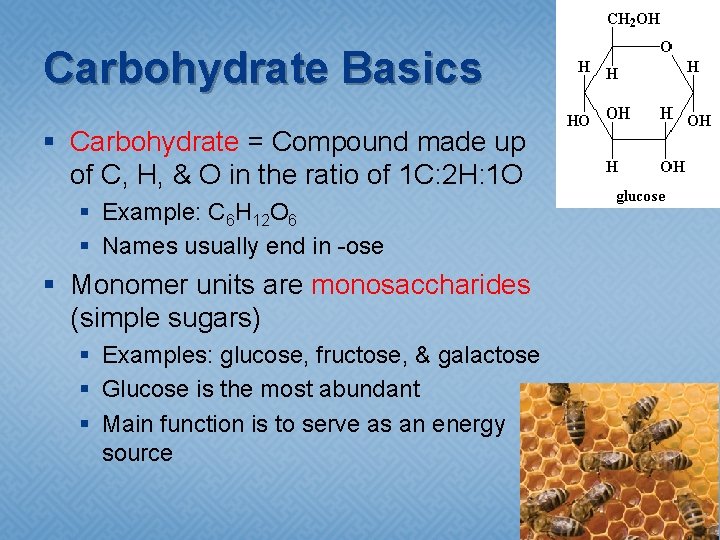 Carbohydrate Basics § Carbohydrate = Compound made up of C, H, & O in