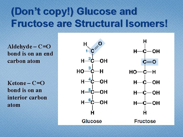 (Don’t copy!) Glucose and Fructose are Structural Isomers! Aldehyde – C=O bond is on