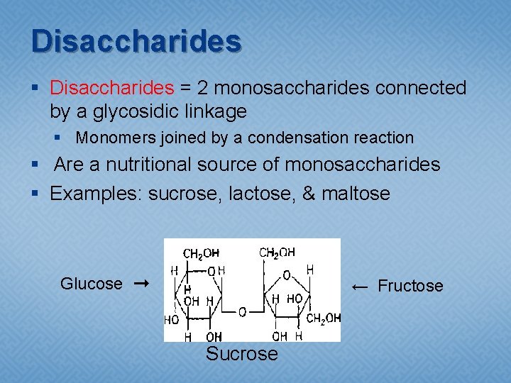 Disaccharides § Disaccharides = 2 monosaccharides connected by a glycosidic linkage § Monomers joined