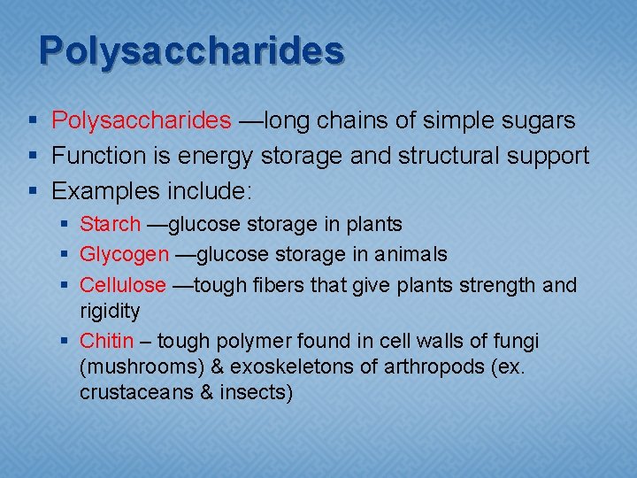 Polysaccharides § Polysaccharides —long chains of simple sugars § Function is energy storage and