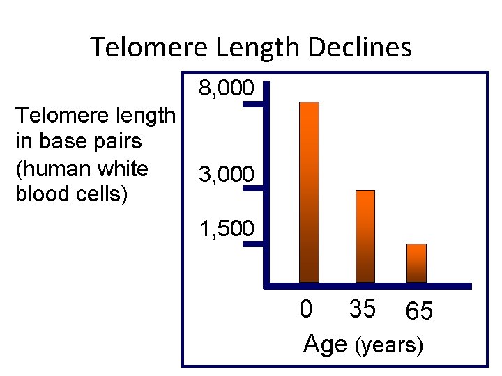 Telomere Length Declines 8, 000 Telomere length in base pairs (human white 3, 000