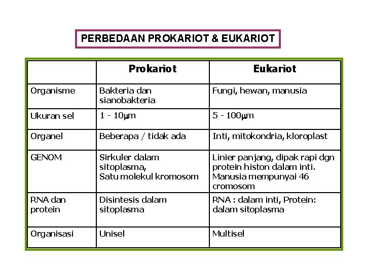 PERBEDAAN PROKARIOT & EUKARIOT Prokariot Eukariot Organisme Bakteria dan sianobakteria Fungi, hewan, manusia Ukuran