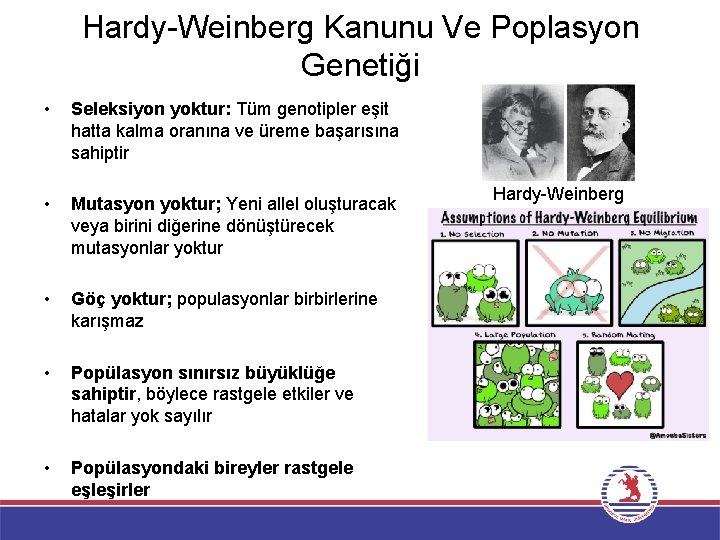 Hardy-Weinberg Kanunu Ve Poplasyon Genetiği • Seleksiyon yoktur: Tüm genotipler eşit hatta kalma oranına