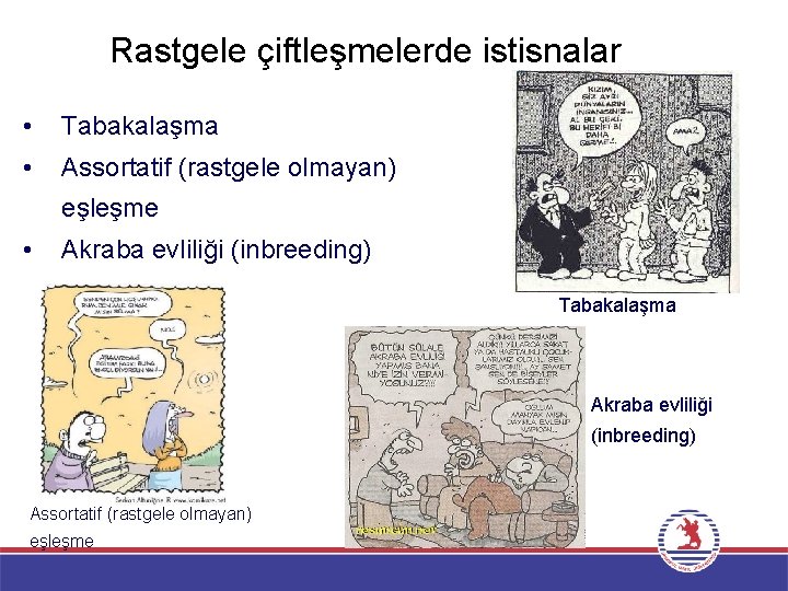 Rastgele çiftleşmelerde istisnalar • Tabakalaşma • Assortatif (rastgele olmayan) eşleşme • Akraba evliliği (inbreeding)