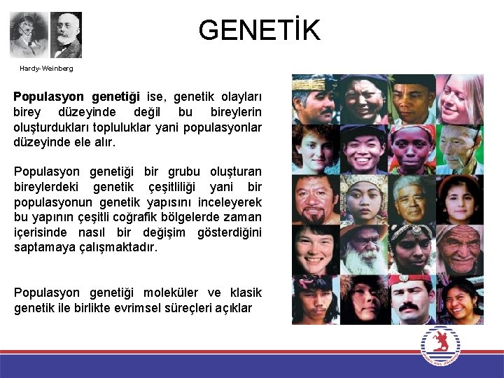 GENETİK Hardy-Weinberg Populasyon genetiği ise, genetik olayları birey düzeyinde değil bu bireylerin oluşturdukları topluluklar