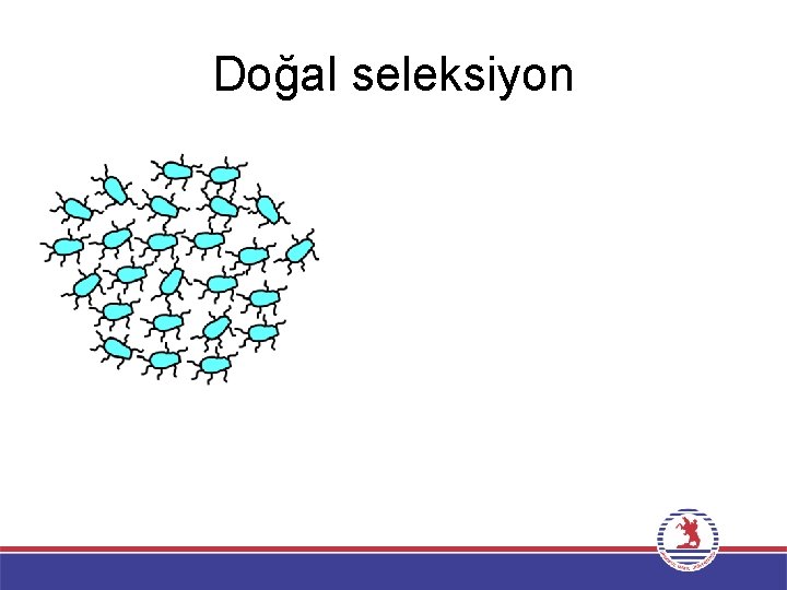 Doğal seleksiyon 