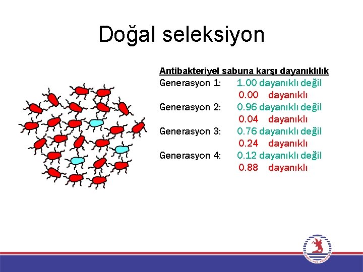 Doğal seleksiyon Antibakteriyel sabuna karşı dayanıklılık Generasyon 1: Generasyon 2: Generasyon 3: Generasyon 4: