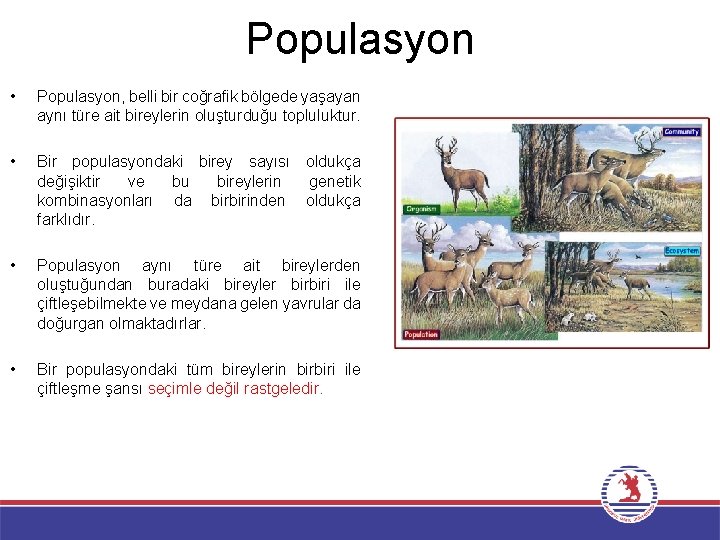 Populasyon • Populasyon, belli bir coğrafik bölgede yaşayan aynı türe ait bireylerin oluşturduğu topluluktur.