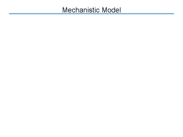Mechanistic Model 