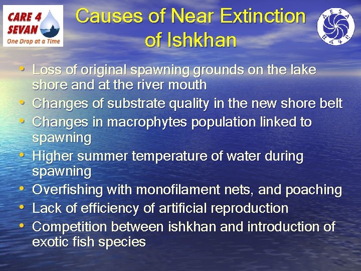 Causes of Near Extinction of Ishkhan • Loss of original spawning grounds on the