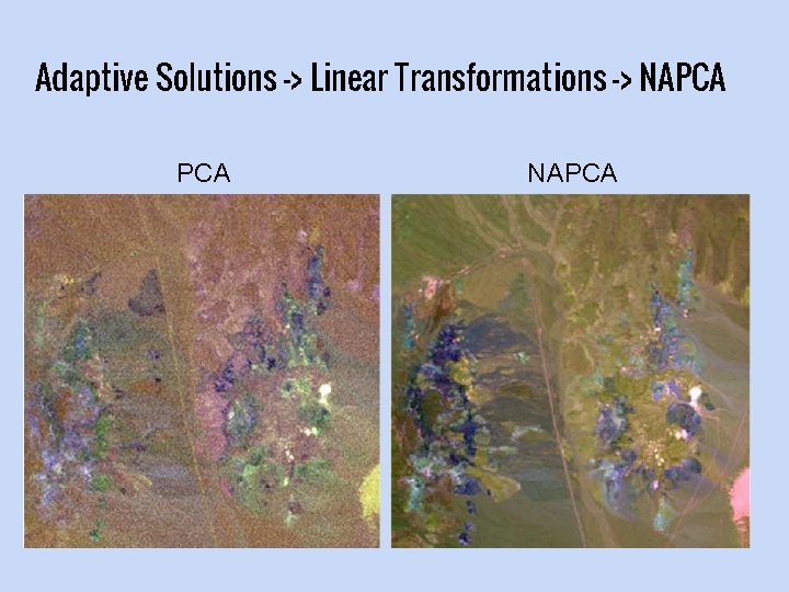 Adaptive Solutions -> Linear Transformations -> NAPCA 