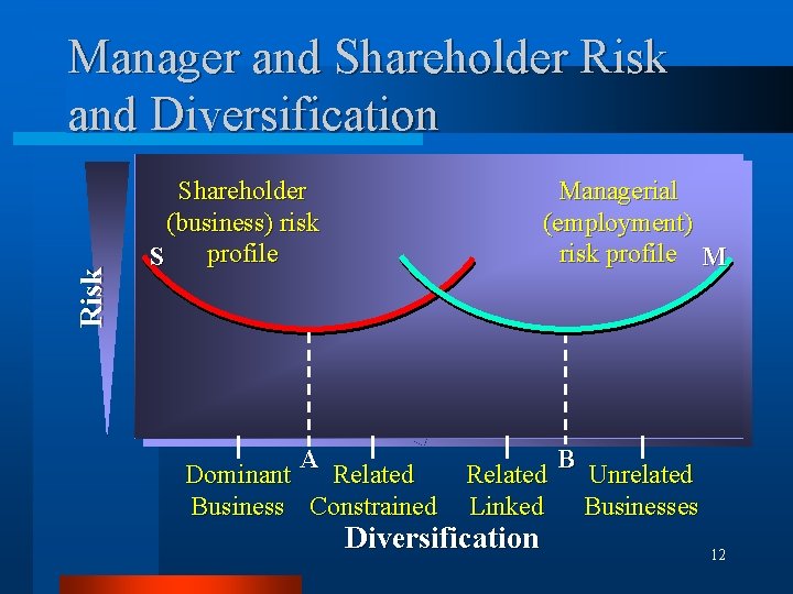 Risk Manager and Shareholder Risk and Diversification Shareholder (business) risk profile S Managerial (employment)