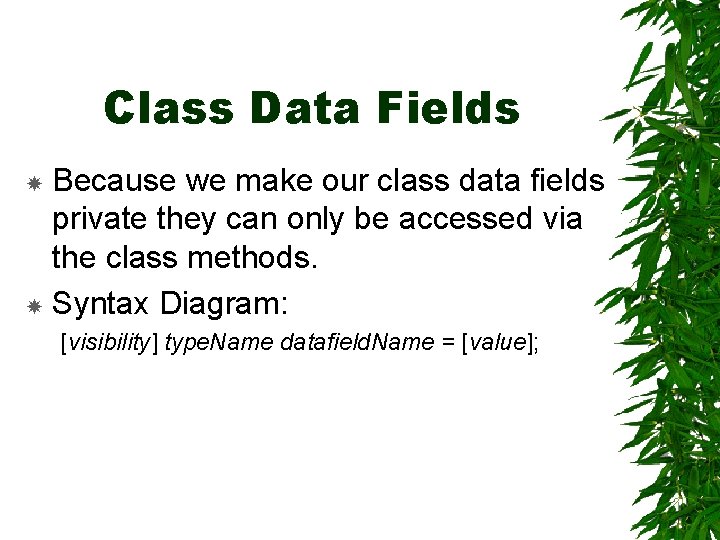 Class Data Fields Because we make our class data fields private they can only