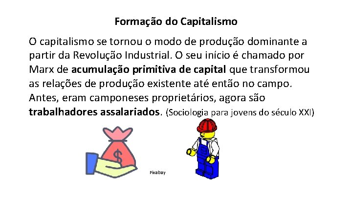 SOCIOLOGIA CAROLINE BLUM 1 SRIE O CAPITALISMO E