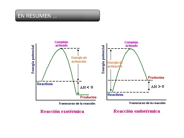 EN RESUMEN … 