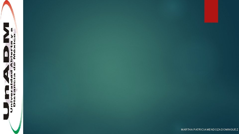 MARTHA PATRICIA MENDOZA DOMINGUEZ 