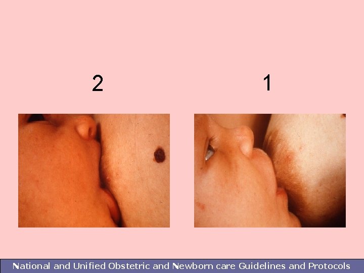 2 1 National and Unified Obstetric and Newborn care Guidelines and Protocols 