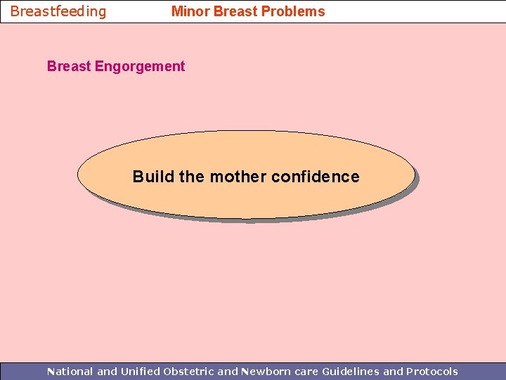 Breastfeeding Minor Breast Problems Breast Engorgement Build the mother confidence National and Unified Obstetric